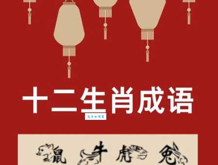 眼花缭乱打一最佳生肖这个属相最让人羡慕