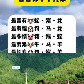 眼花缭乱打一最佳生肖这个属相最让人羡慕