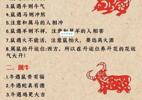人五人六是什么生肖 这些生肖的人最容易被说