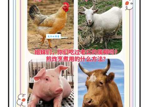三餐必备是什么生肖 这几个生肖最爱美食