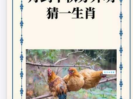 深识远虑打一准确肖 看看你猜对了没