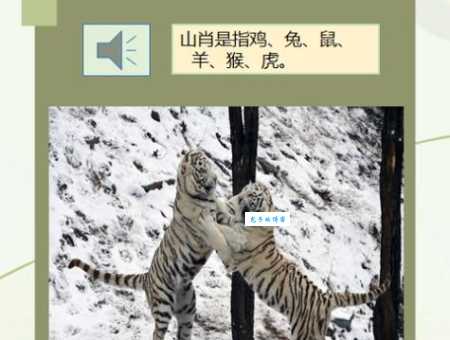 百折不挠打一生肖看看你的属相是不是最坚强