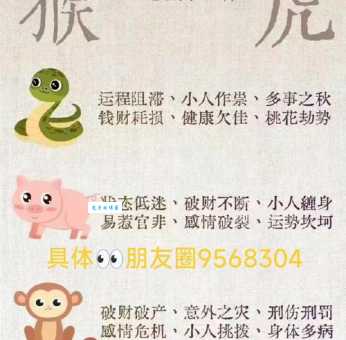 百折不挠打一生肖看看你的属相是不是最坚强