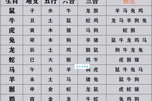 野外风光什么生肖打一生肖揭秘最适合户外的属相