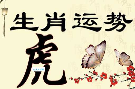 偷天换日好本领是什么生肖这些生肖最会玩手段