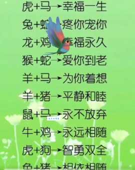 三心二意拢心神猜生肖原来答案这么简单