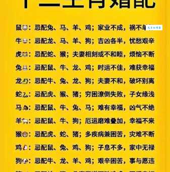 子孙满堂打一准确生肖你家有这个属相吗