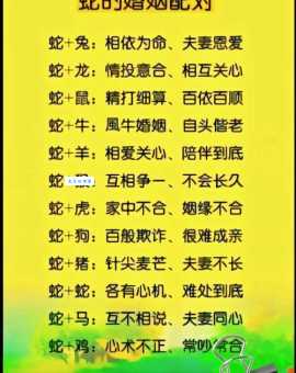 龙到天宫告猴王打一正确生肖答案揭晓