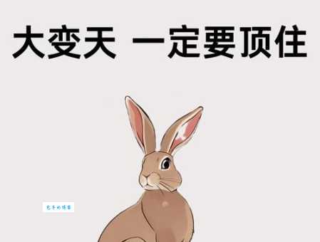 兔死狗烹打一准确生肖老祖宗的智慧藏在这里