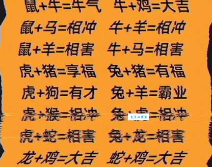 满面春风是什么生肖 原来这些生肖最讨喜