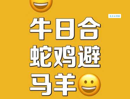 目光如豆打一最佳生肖看看你属相中招没