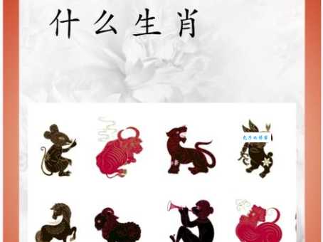 八棱梅花亮银锤猜一生肖这个生肖你绝对想不到