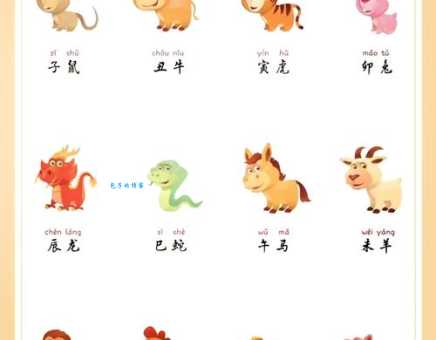 午后时光是什么生肖 揭秘十二生肖中的午后代表