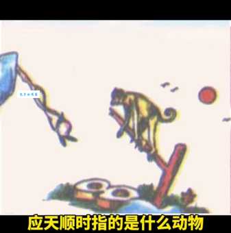 眼花撩乱打一生肖猜猜看是什么动物这么神秘