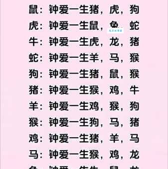 一清二楚是什么生肖 这个生肖特征最明显