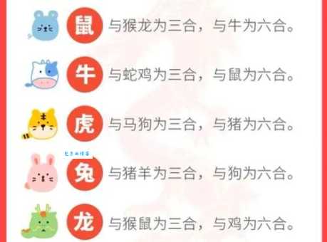 合家欢乐打一生肖这个属相最吉祥