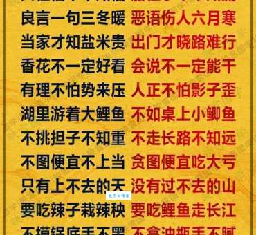 意犹未尽打一生肖答案出乎意料却合理