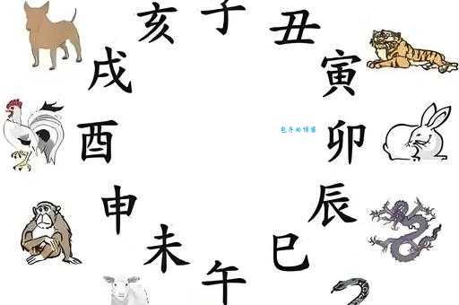 日月轮换是什么生肖 揭秘十二生肖中的日月交替