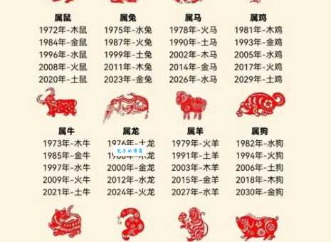 一飞冲天的生肖正确答案揭晓你猜对了吗