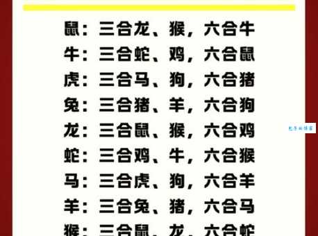 顶门立户是什么生肖 看看你家有没有这个属相