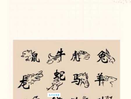 割袍断义打一生肖猜对了吗正确答案在这里