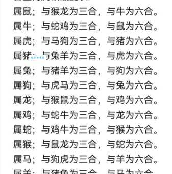 狗的朋友是什么生肖 揭秘最合拍的属相