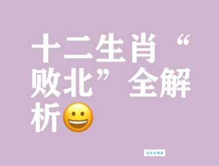 重整旗鼓指什么生肖 哪个生肖最有能力反败为胜