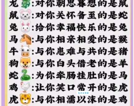 牵肠挂肚是什么生肖 原来这些生肖最让人惦记