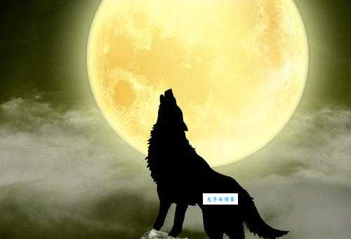 狼子野心是什么生肖 看看哪个生肖最有野心