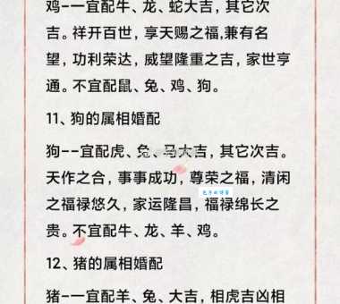美如冠玉打一生肖十二生肖谁最配这词