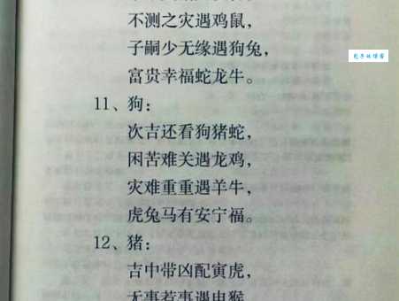 美如冠玉打一生肖十二生肖谁最配这词