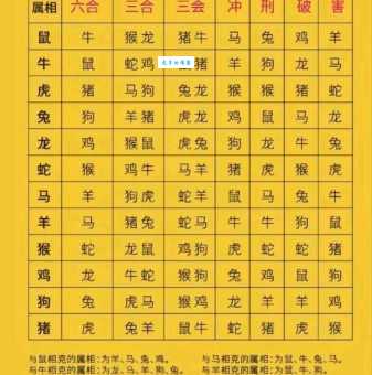 精打细算是什么生肖 这几个生肖理财最在行