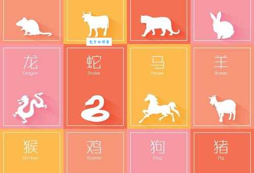 石火光阴打一精准生肖看看你属相是否在其中