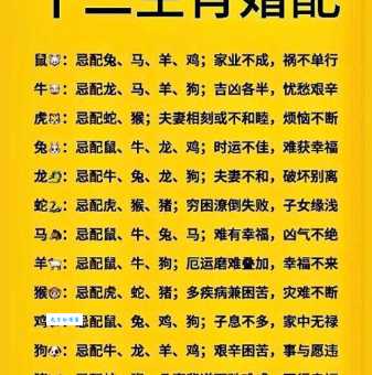 一厢情愿指什么生肖 哪些生肖在爱情里总是一头热