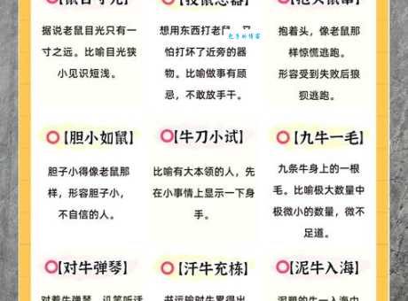 如虎添翼是什么动物生肖原来答案这么简单
