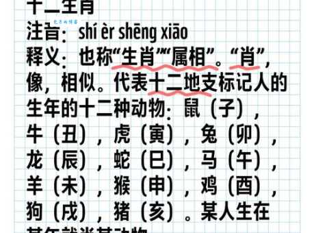 肉山脯林打一生肖十二生肖中谁最符合特征