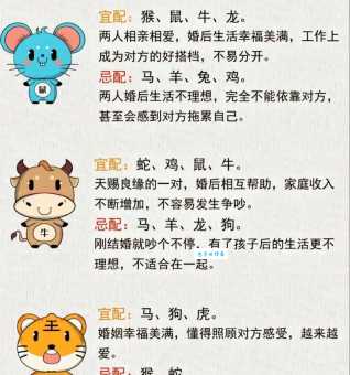 小户人家是什么生肖 看看你家对应哪个属相