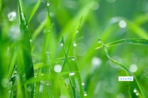 春回地暖打一生肖你猜对了吗