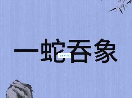 人心不足蛇吞象是什么生肖 这个答案太准了