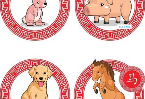 马不停蹄打一生肖看看哪个生肖最像