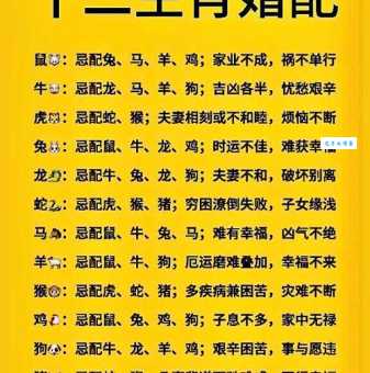 石火光阴是什么生肖 看看你的属相是否最懂珍惜光阴