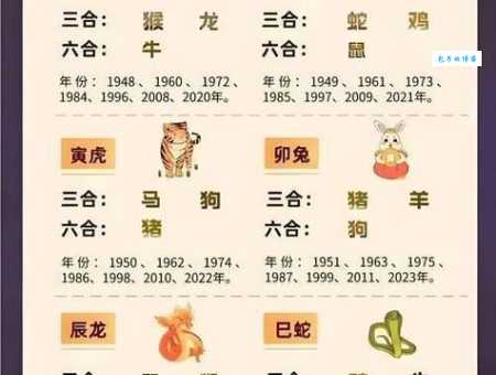 乱人耳目打一精准生肖正确答案原来在这里