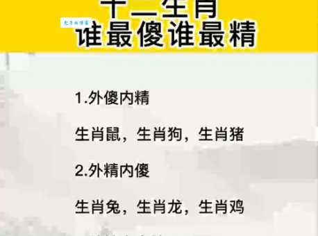 五讲四美指什么生肖 这些生肖最讲文明