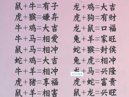 鞍前马后指什么生肖 揭秘背后的生肖故事