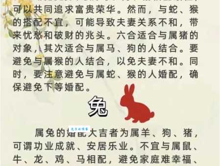 世道人情是什么生肖 十二生肖谁最懂世故