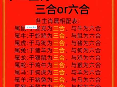 明打明敲打一生肖是什么意思快来了解一下
