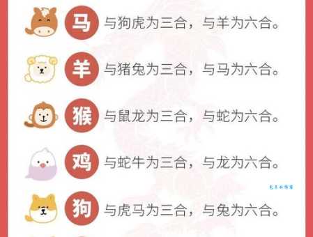 明打明敲打一生肖是什么意思快来了解一下