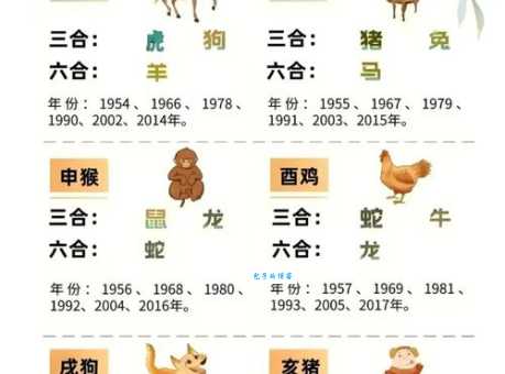 三来二六走四一最佳生肖原来是它