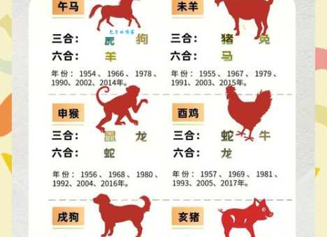 三来二六走四一最佳生肖原来是它
