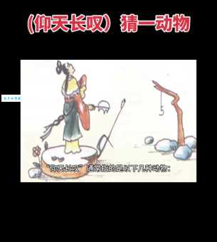 千娇百媚是什么生肖 揭秘最迷人的生肖女